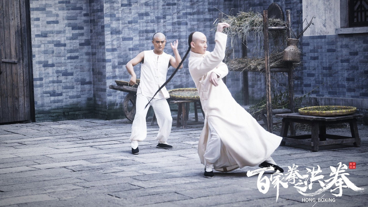 百家拳之洪拳劇照