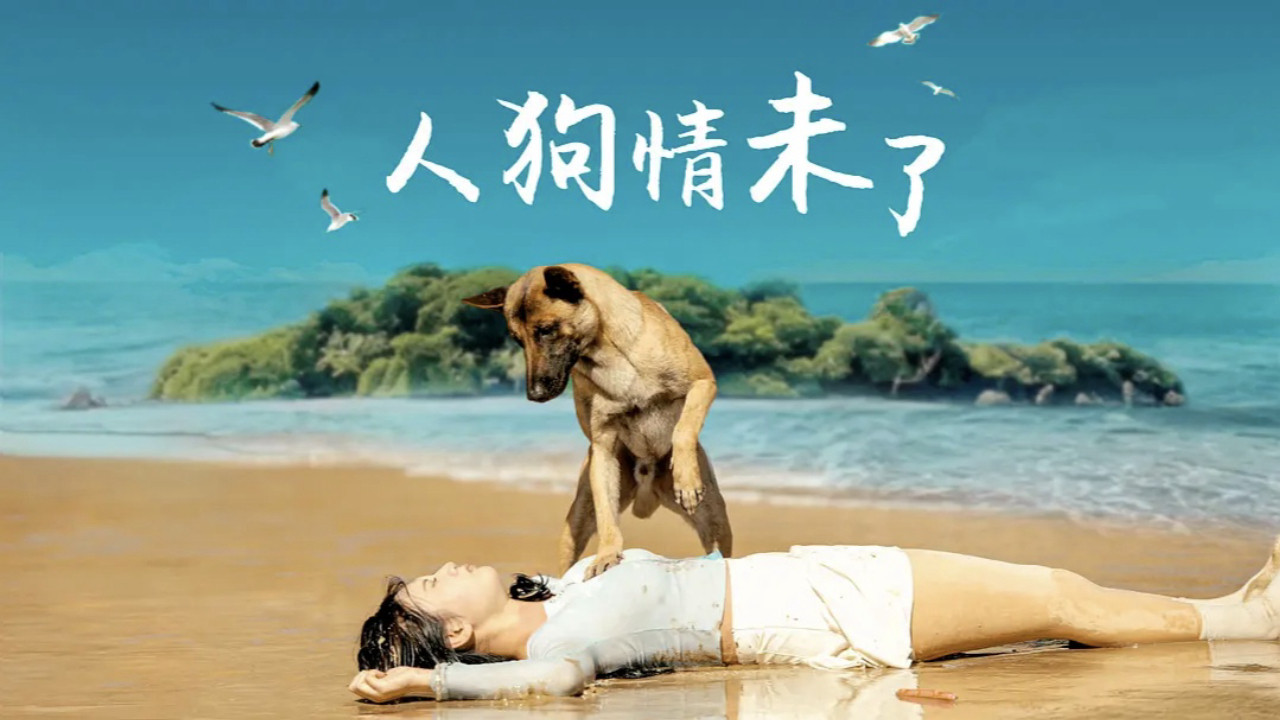 人狗情未了劇照