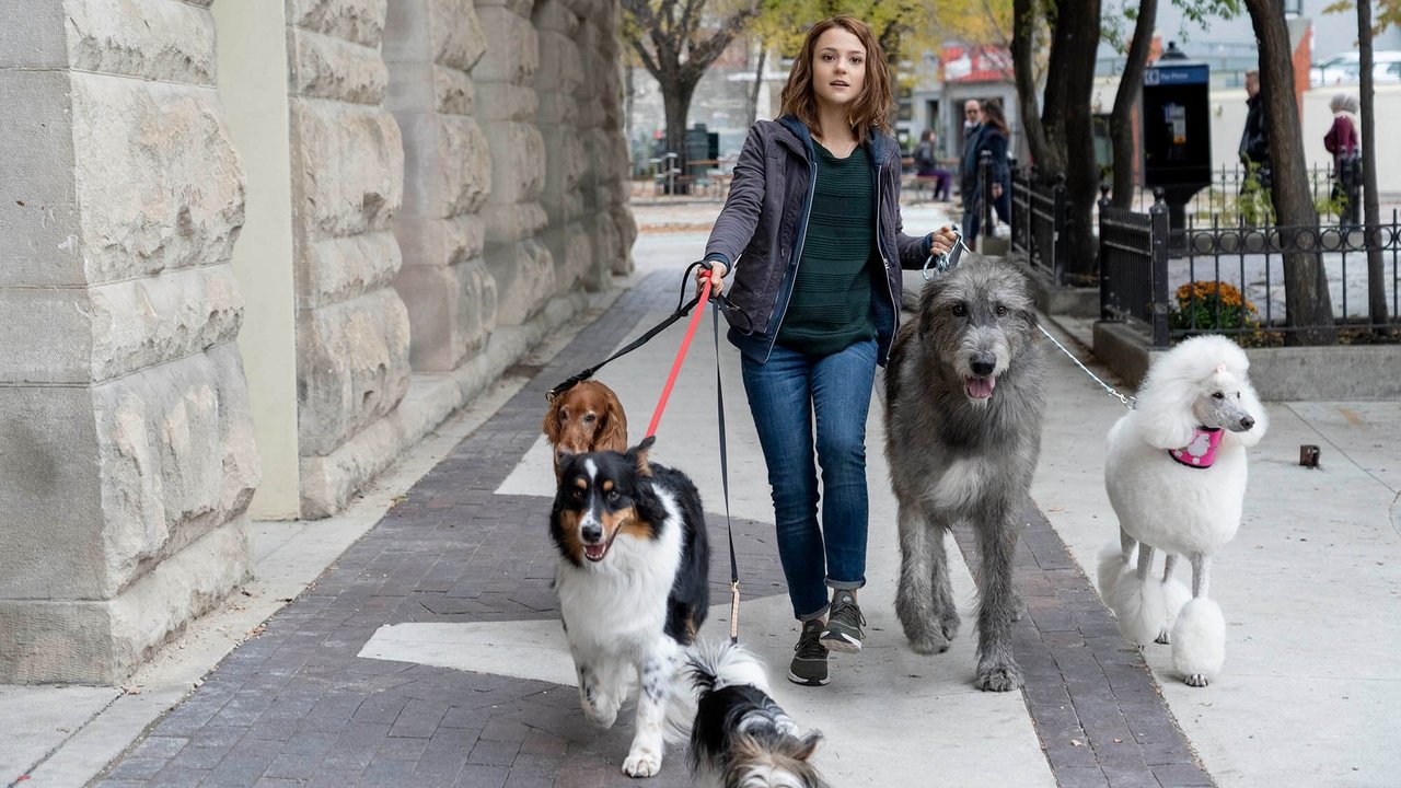 狗狗的旅程劇照