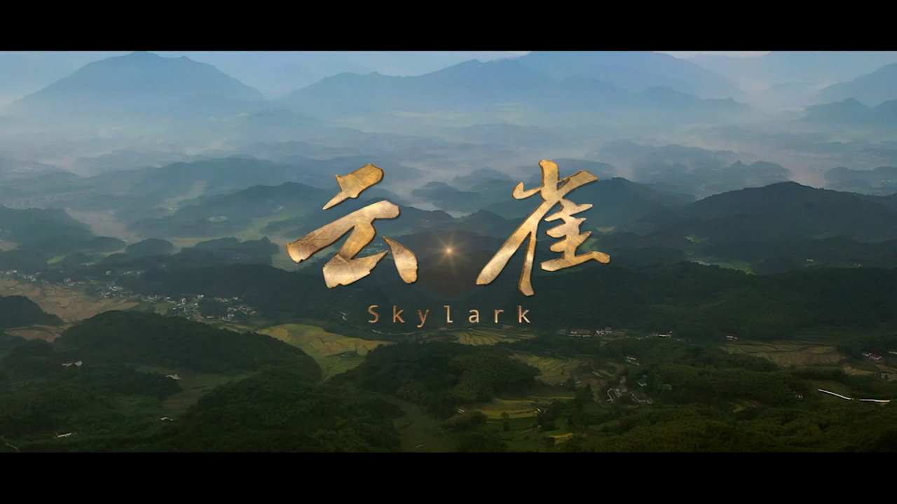 雲雀劇照