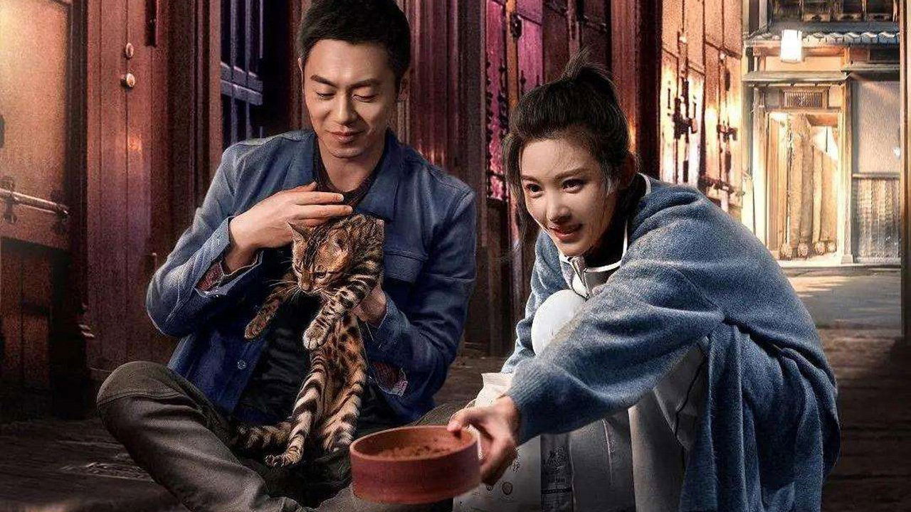 賴貓的獅子倒影劇照