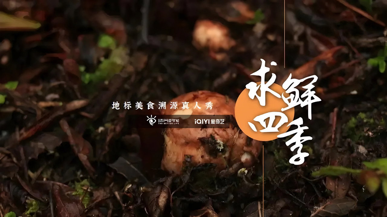 求鮮四季劇照