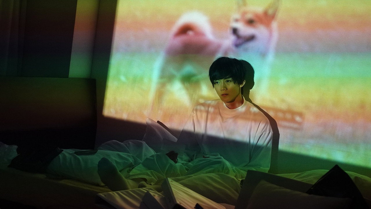 狗轉了一圈，逃跑了劇照
