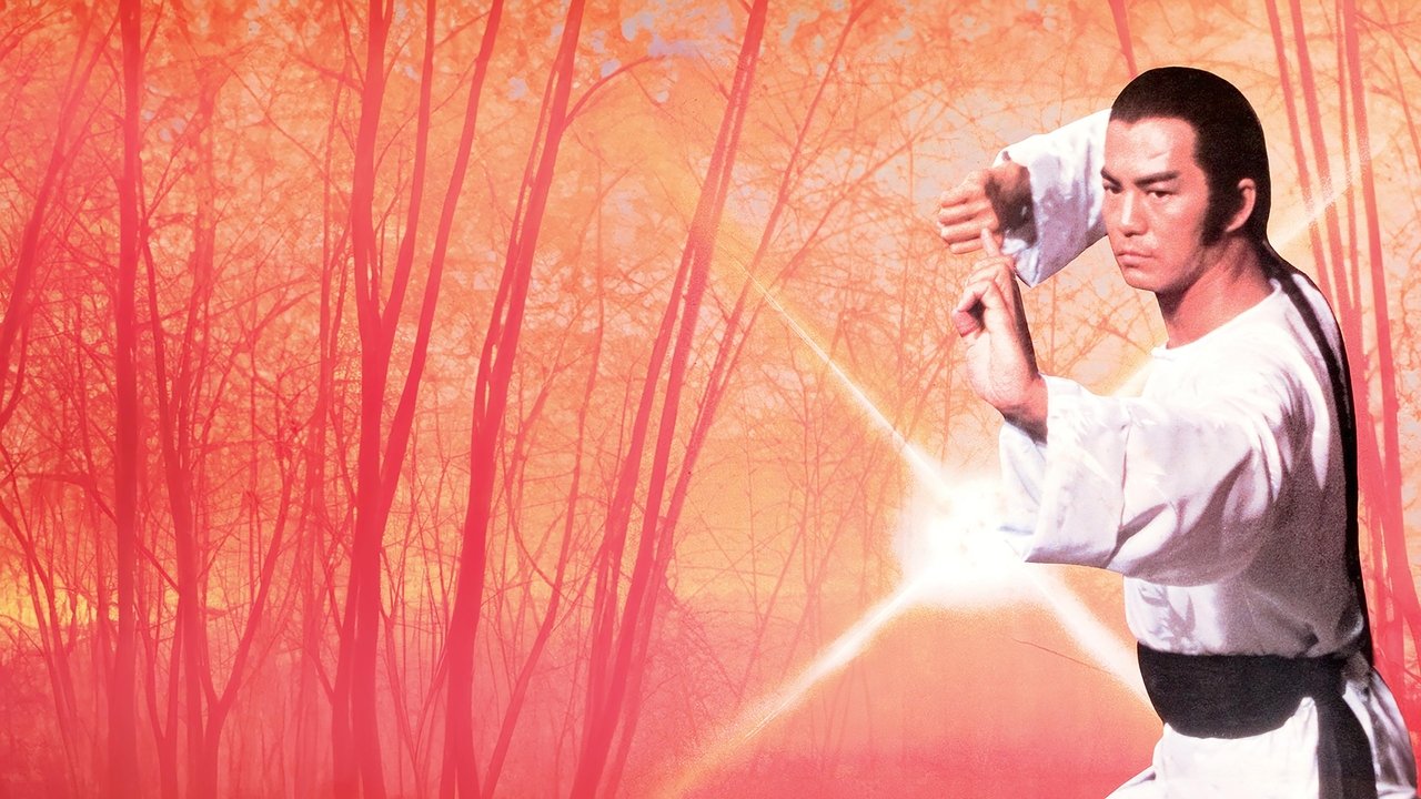 洪拳大師劇照
