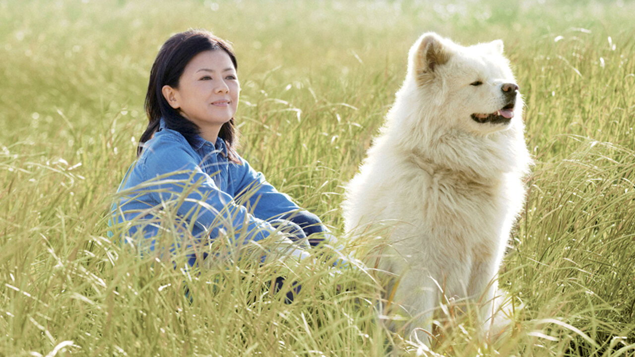 秋田犬蓬夫劇照