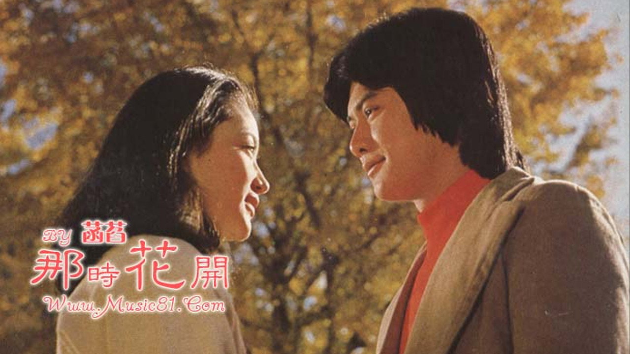 楓葉情劇照