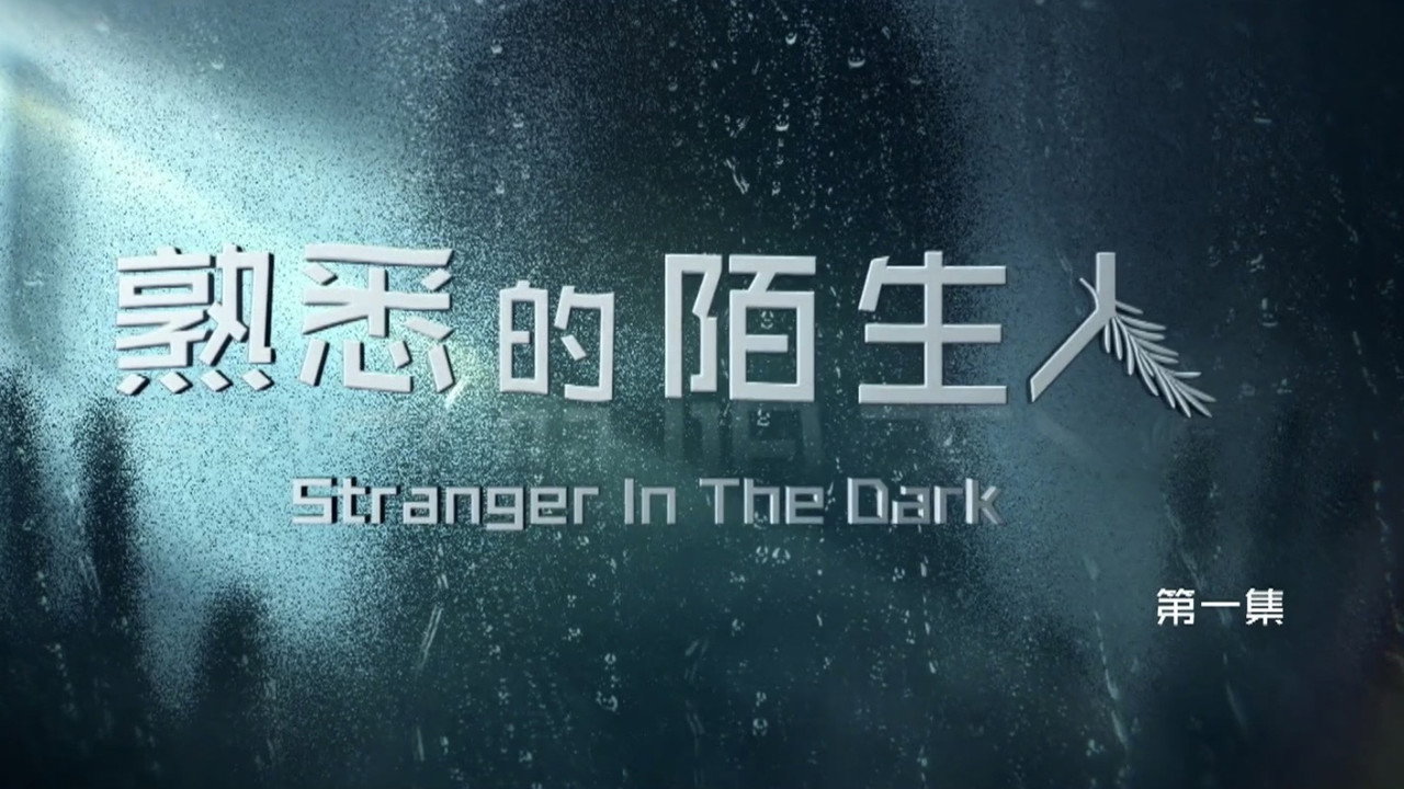 熟悉的陌生人劇照