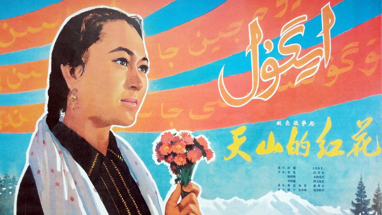 天山的紅花劇照