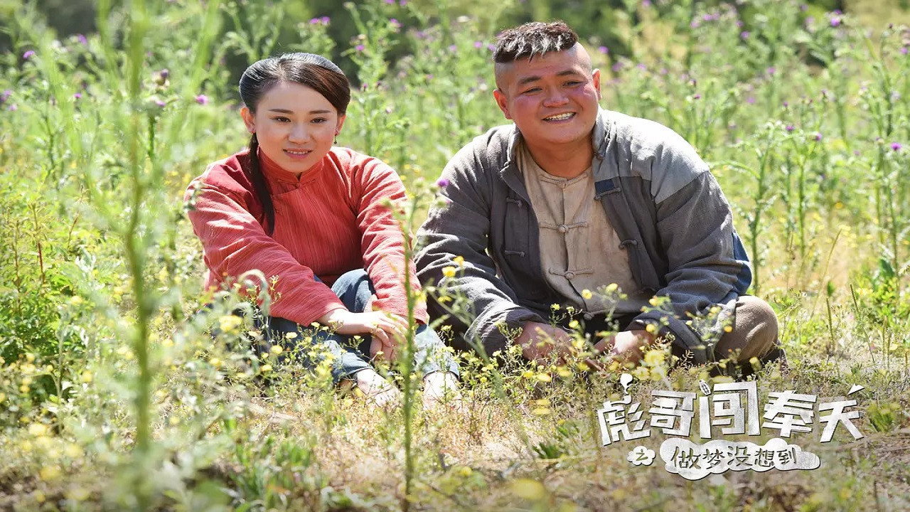彪哥闖奉天之做夢沒想到劇照