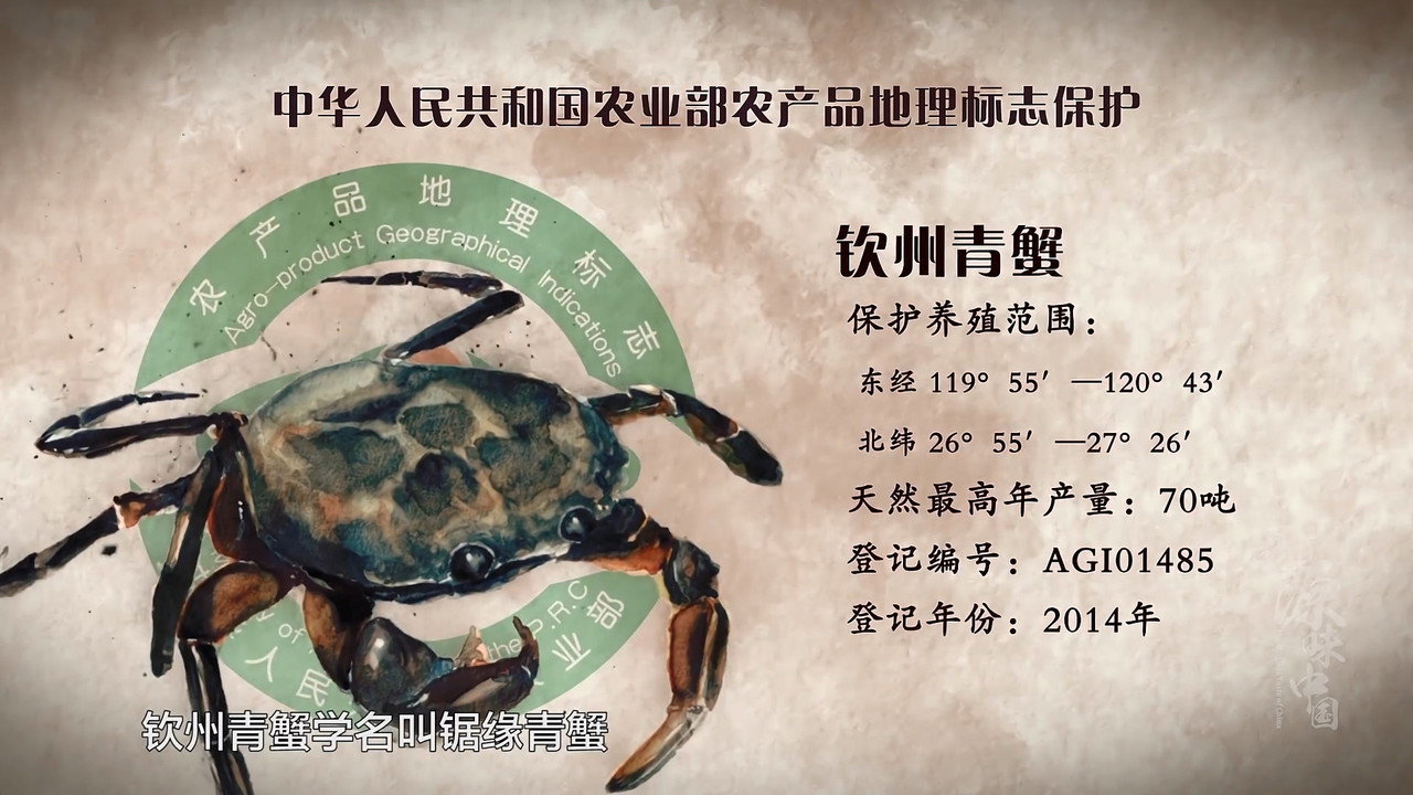 源味中國劇照