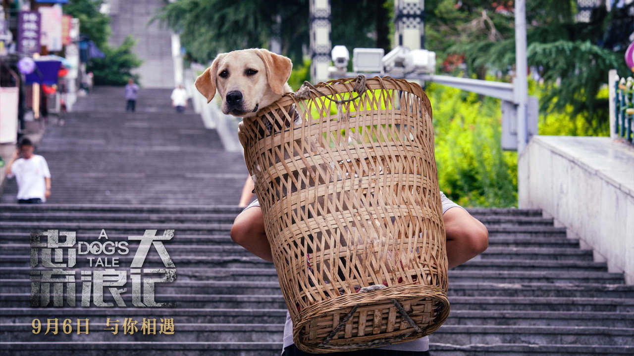忠犬流浪記劇照