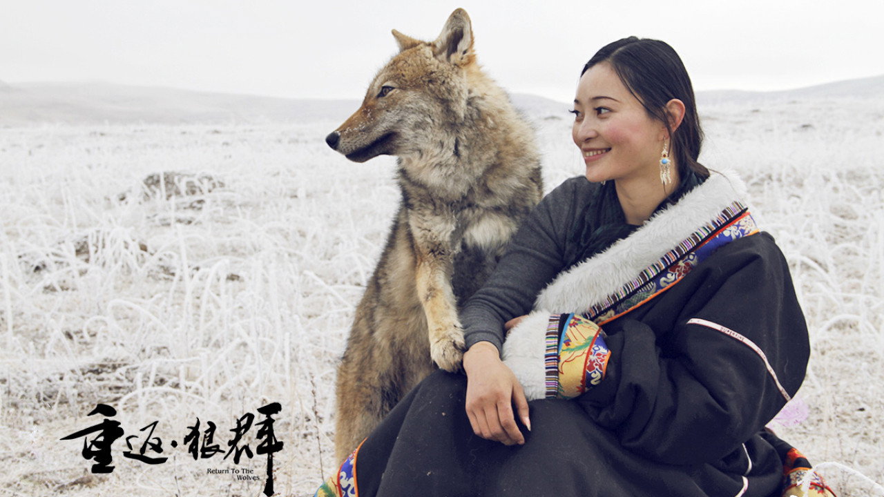 重返狼群 十周年特別紀念版劇照