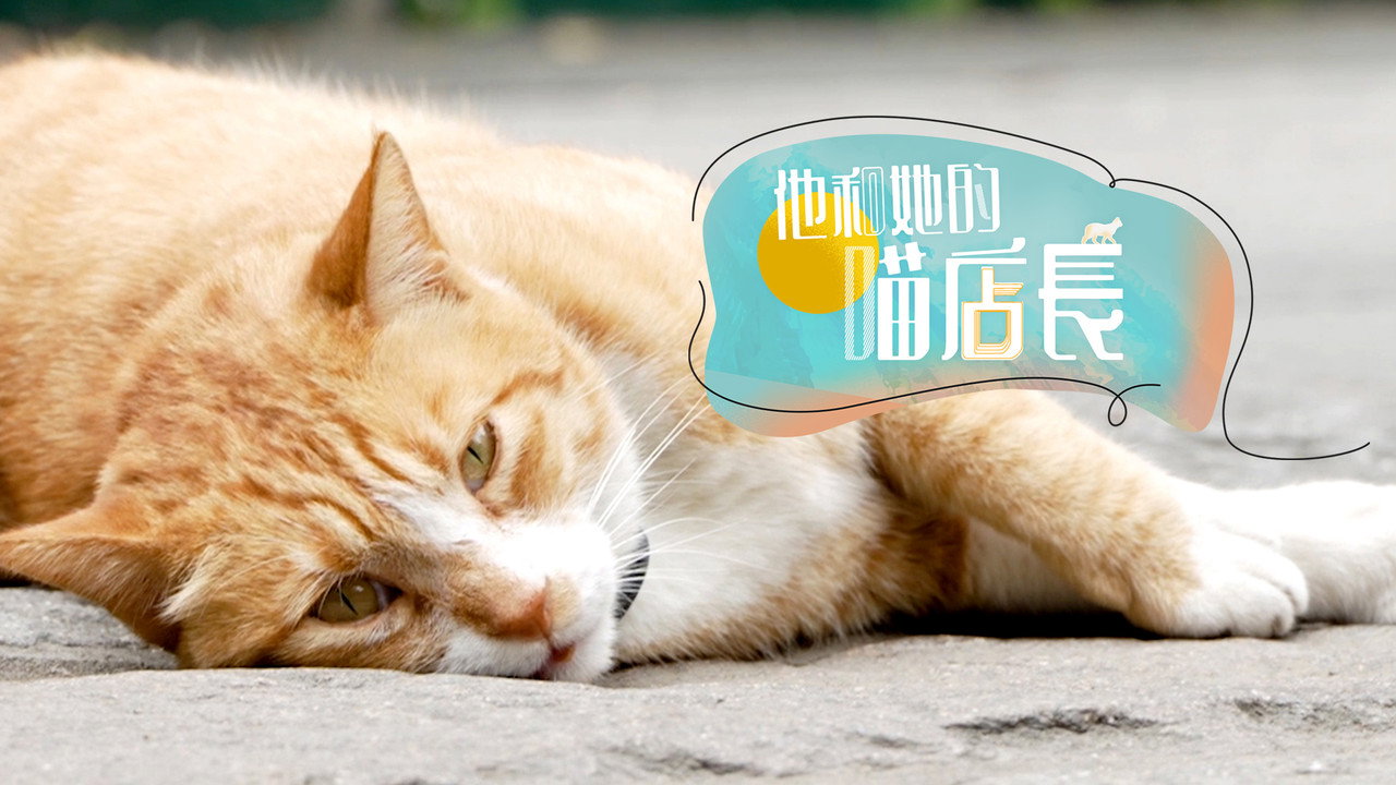 他和她的喵店長劇照