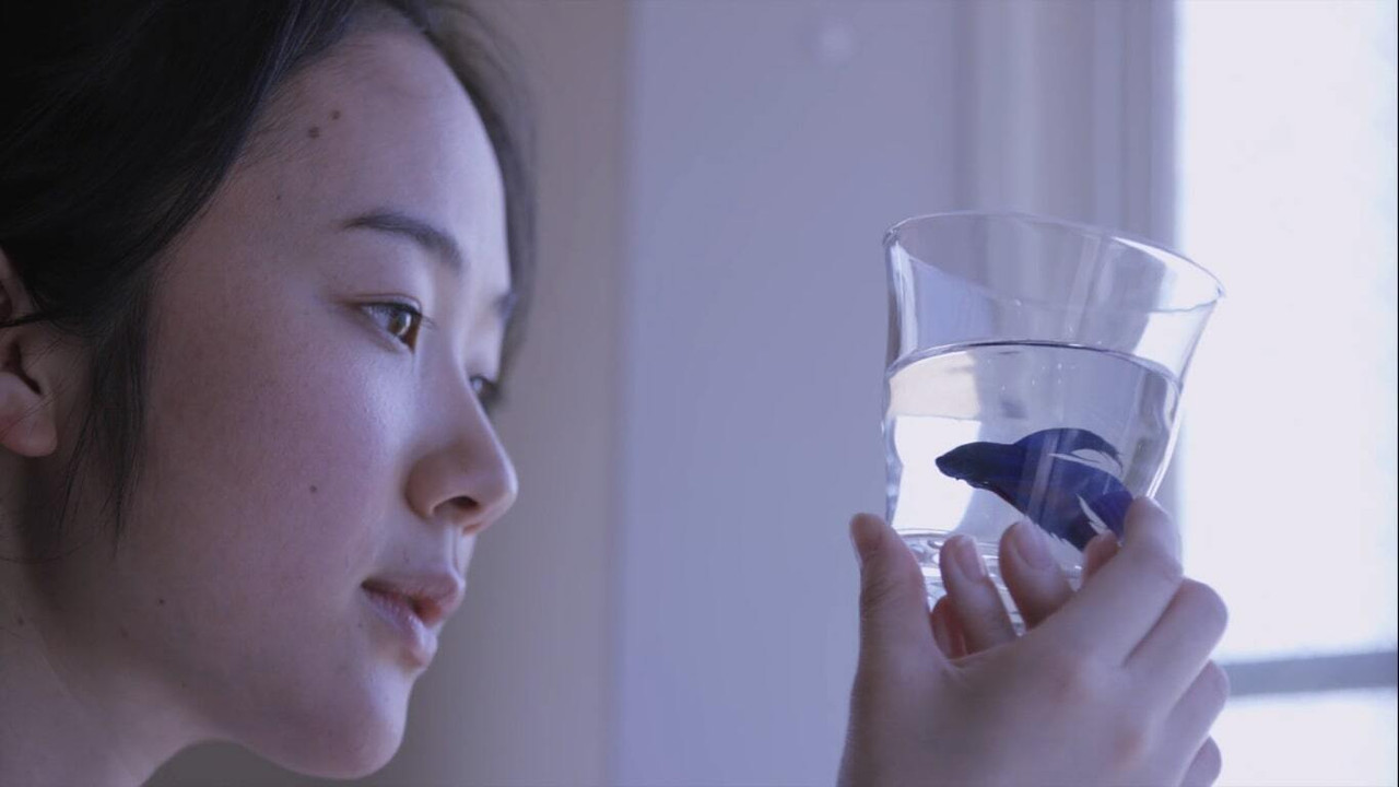 被遺忘的新娘劇照