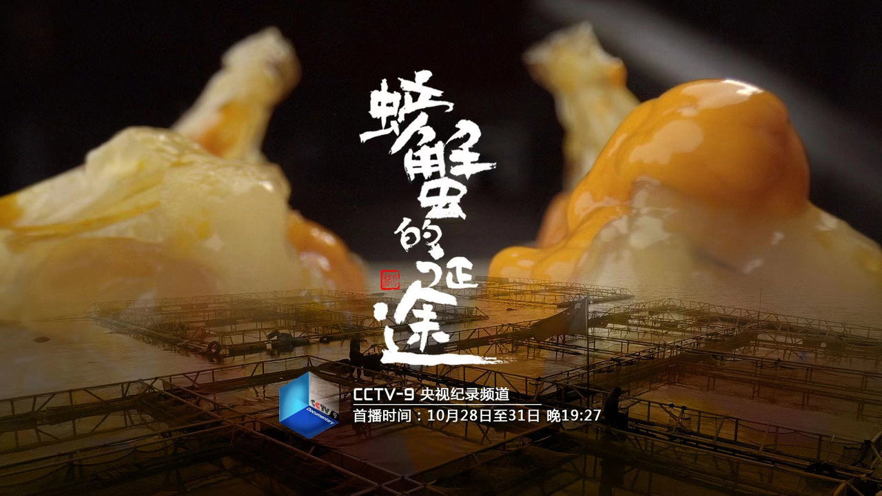 螃蟹的征途劇照