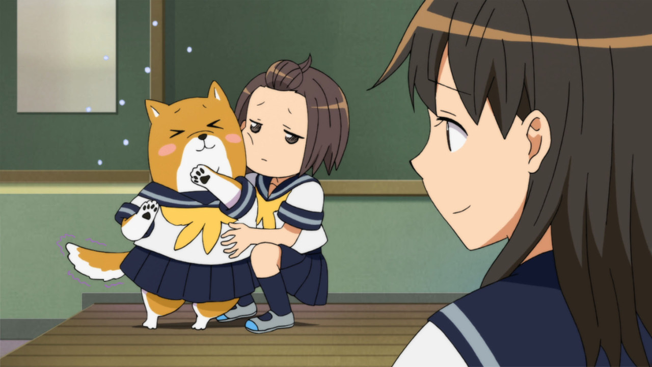 柴犬子劇照