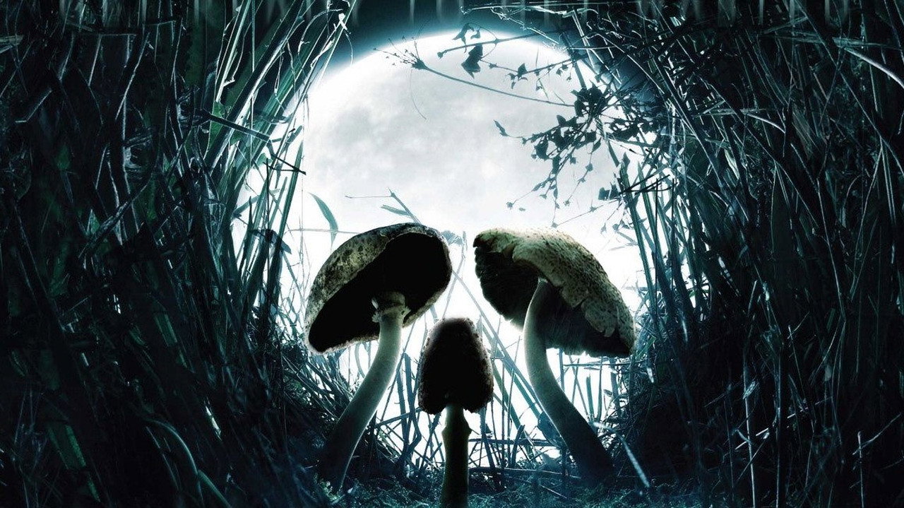 死神魔菇劇照