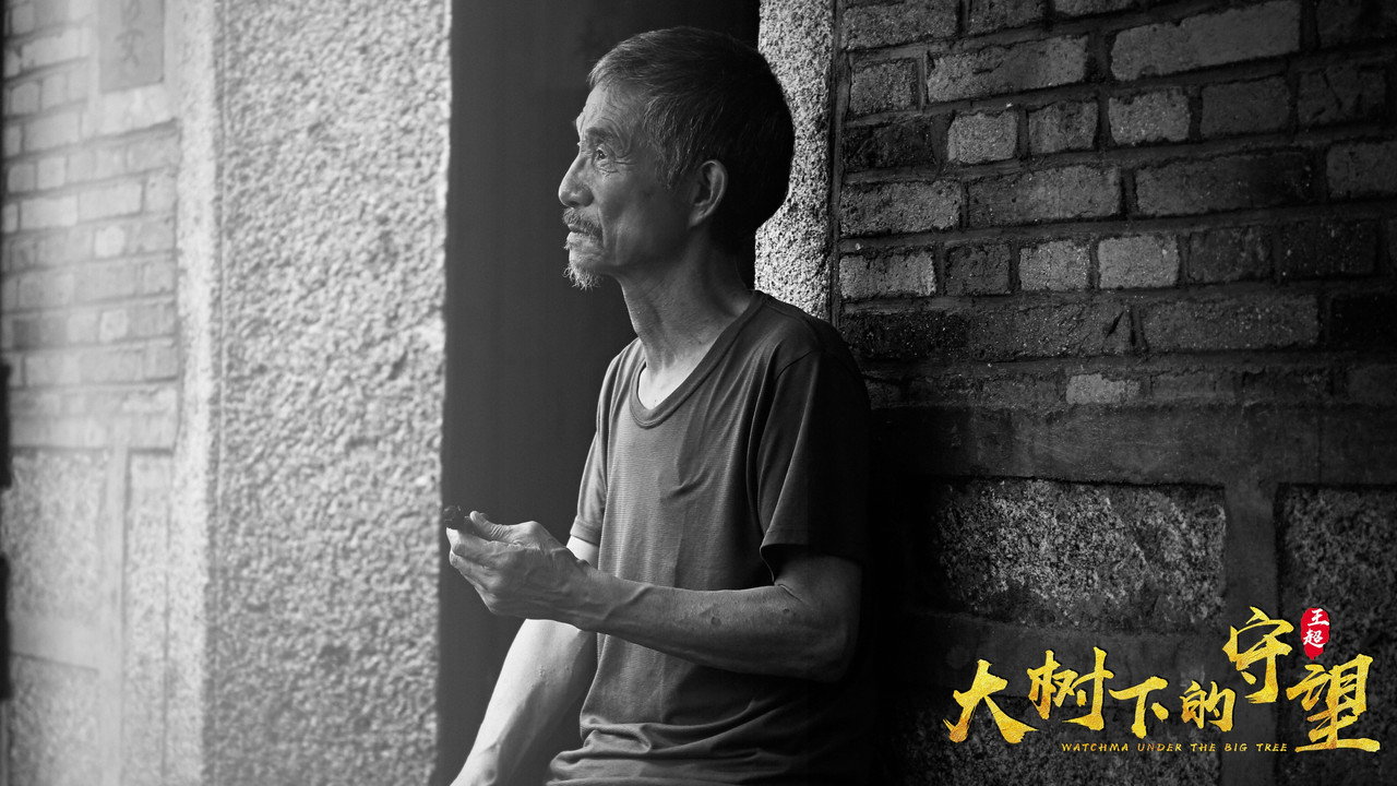 大樹下的守望劇照