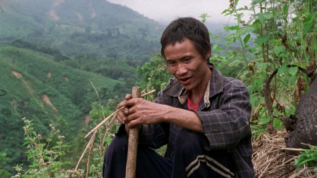 樹房子劇照
