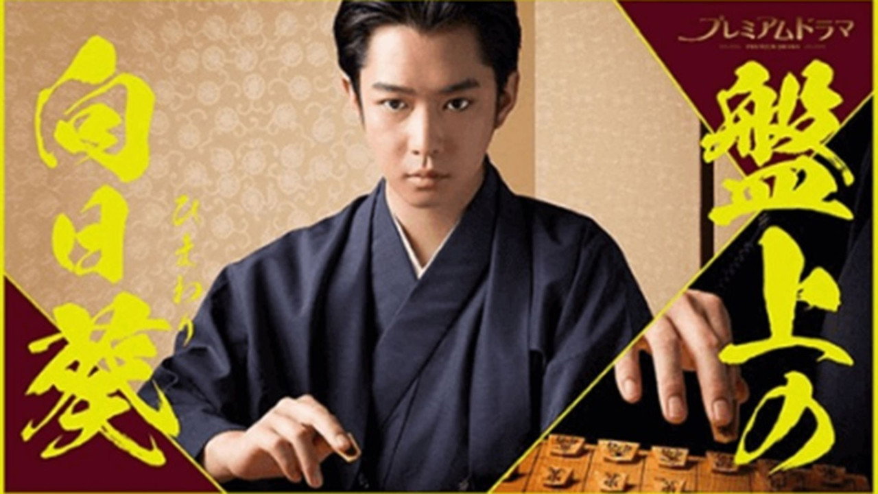 棋盤上的向日葵劇照