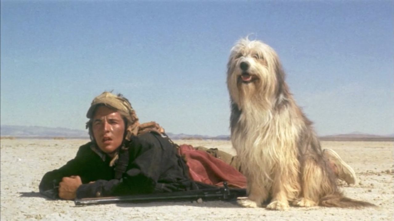 孩子與狗劇照