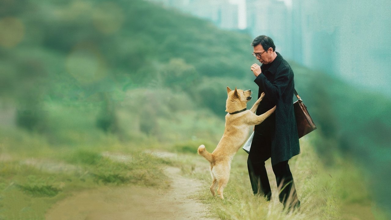 忠犬八公劇照