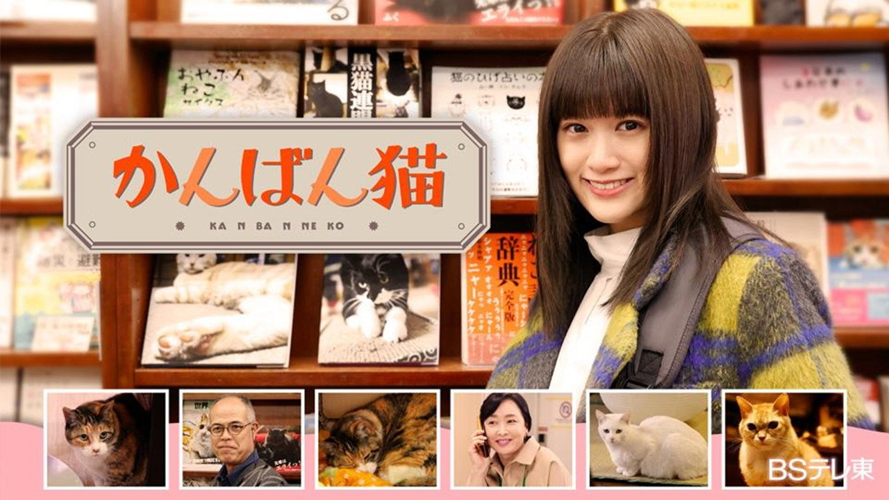 看板貓劇照