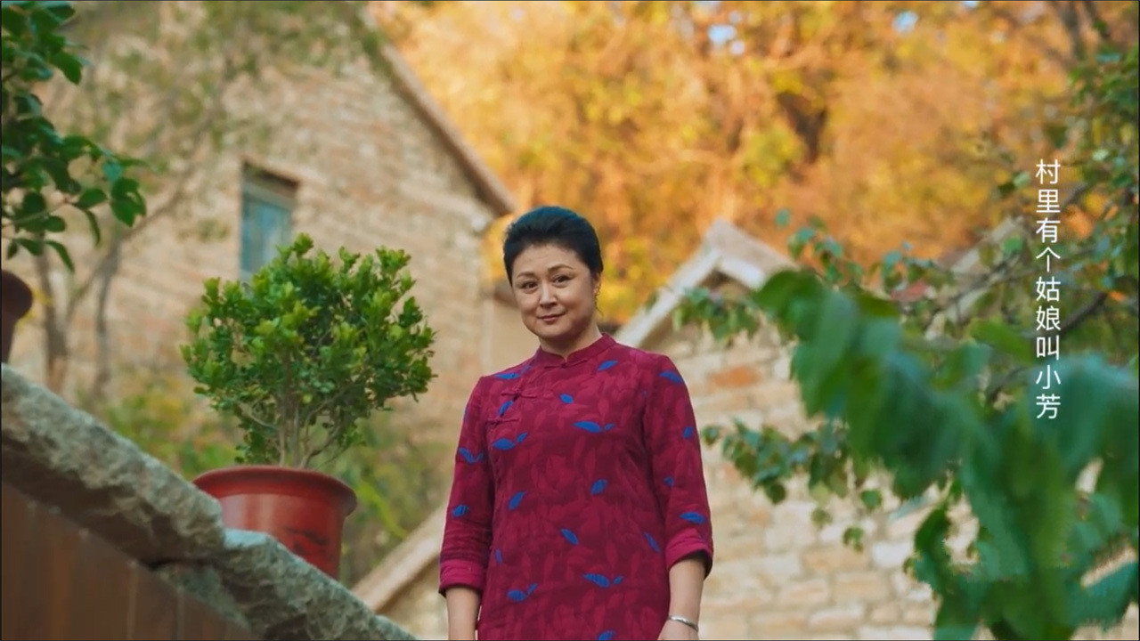 王慶典的春天劇照