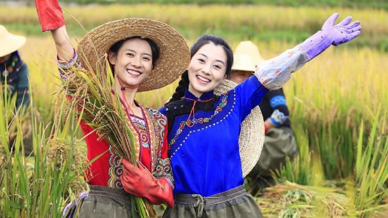 梯田姐妹劇照