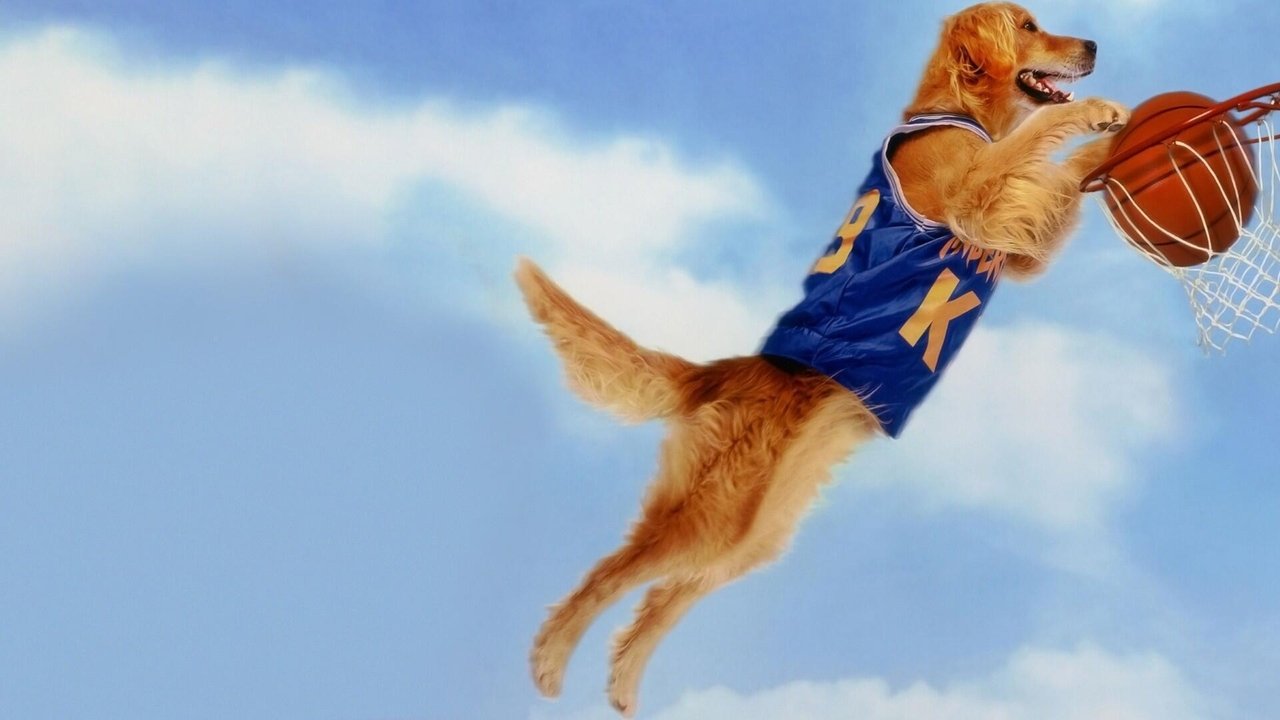 神犬也瘋狂劇照