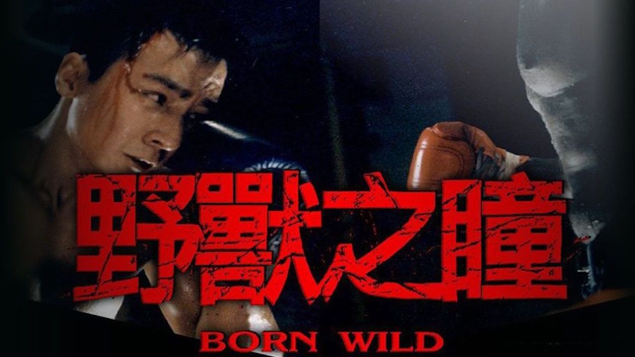 野獸之瞳劇照