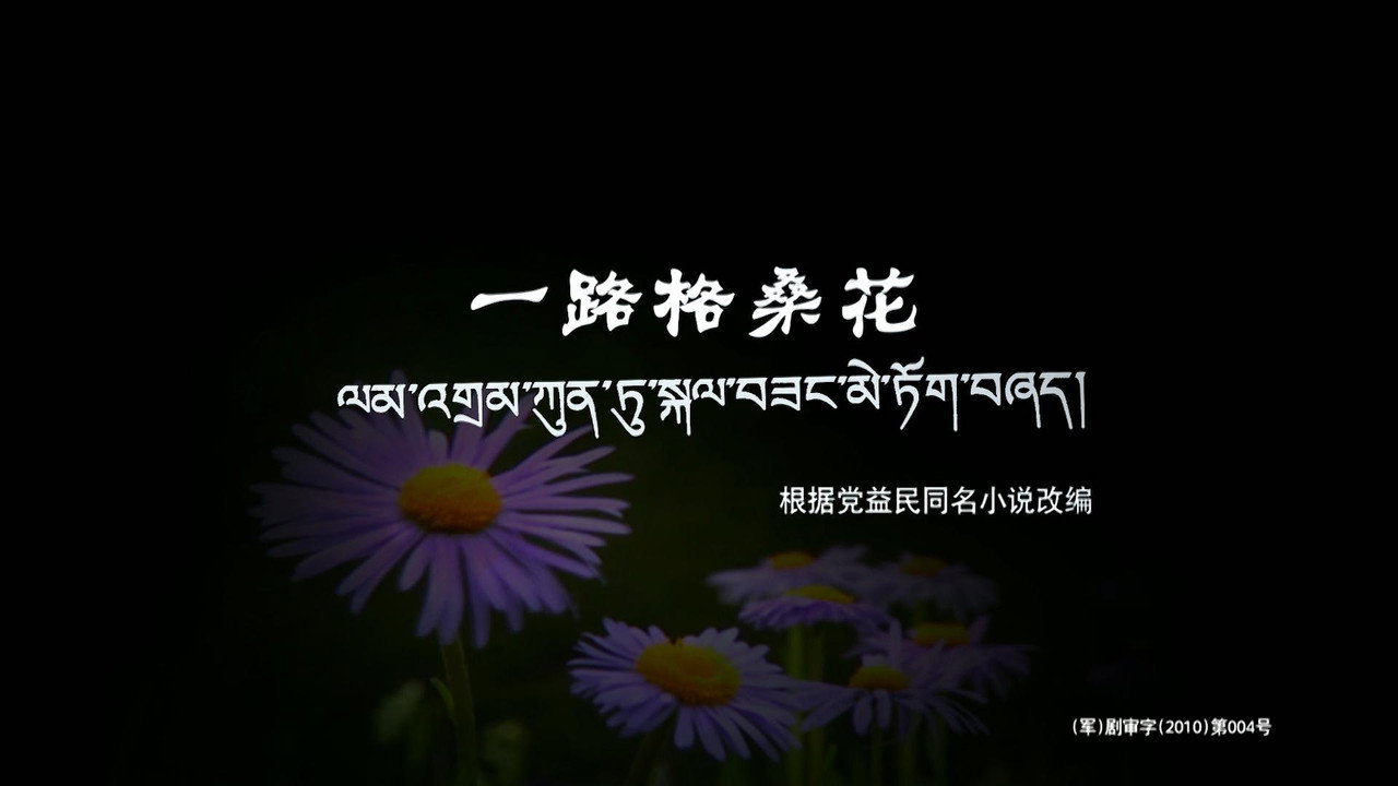 一路格桑花劇照
