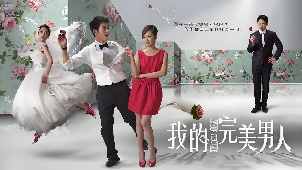我的完美男人劇照