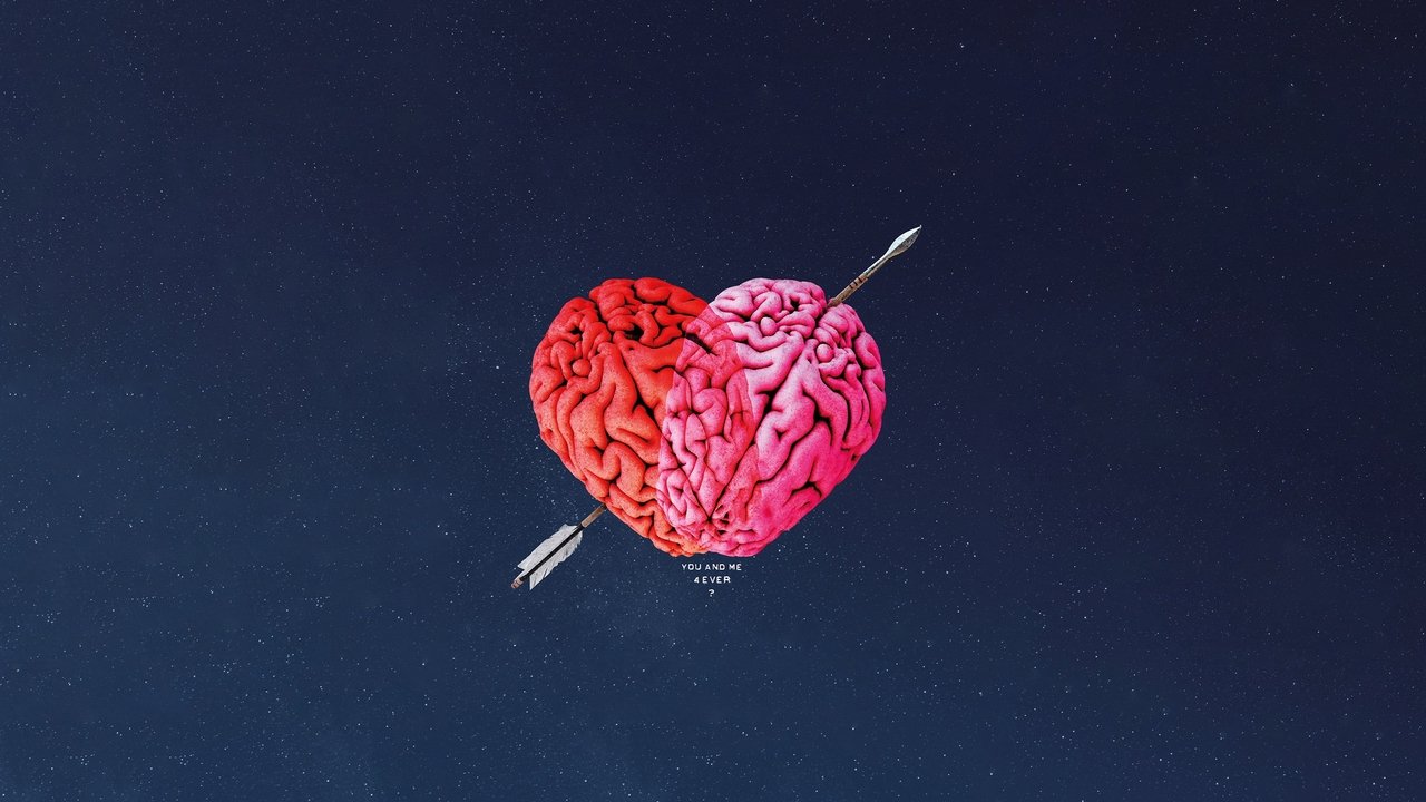 愛的透視圖劇照