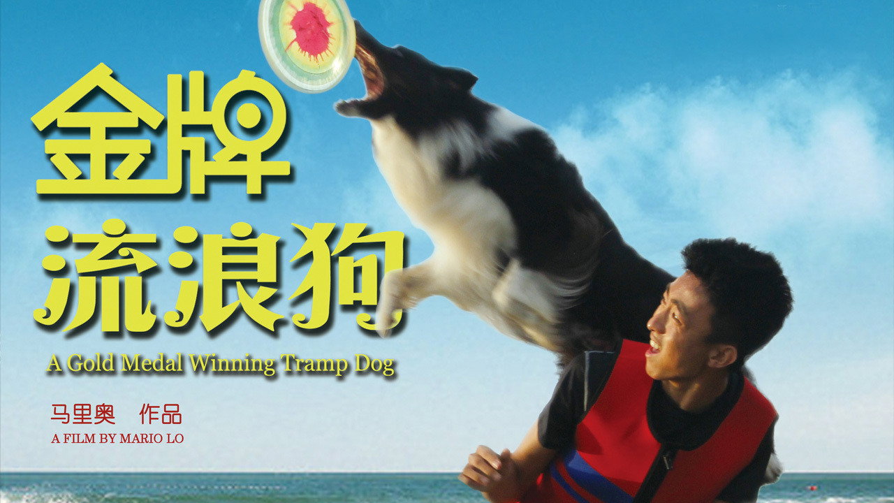 金牌流浪狗劇照