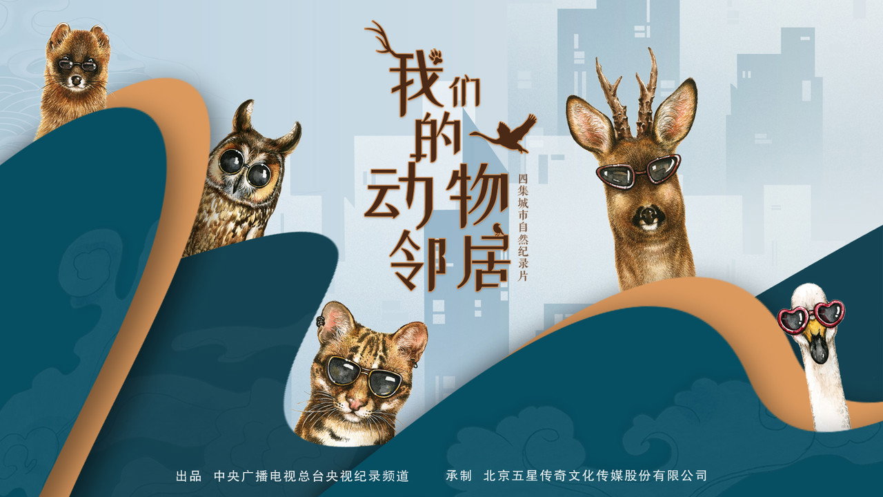 我們的動物鄰居劇照