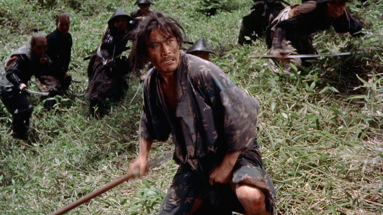 宮本武藏劇照