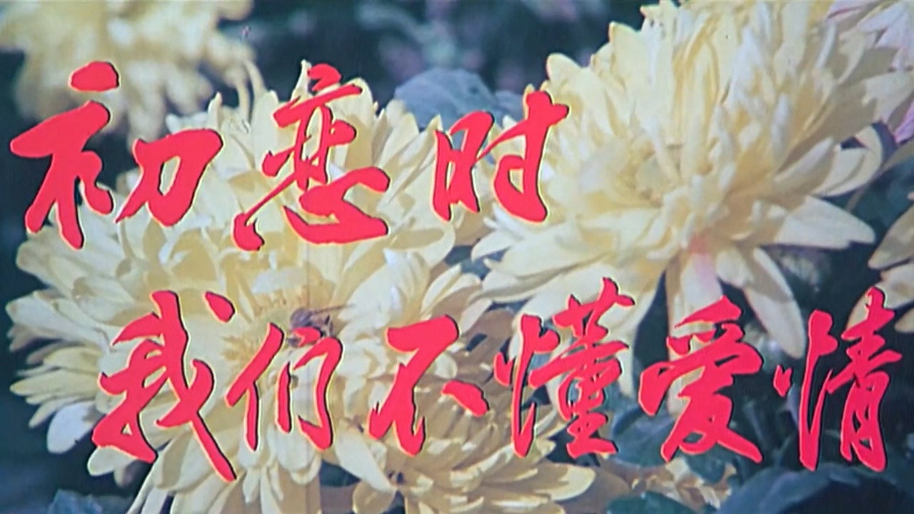 初戀時我們不懂愛情劇照