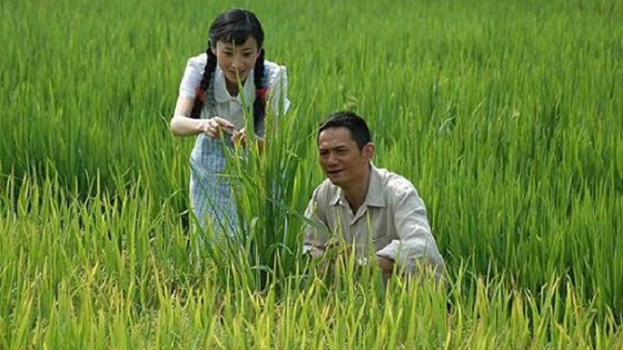 袁隆平劇照