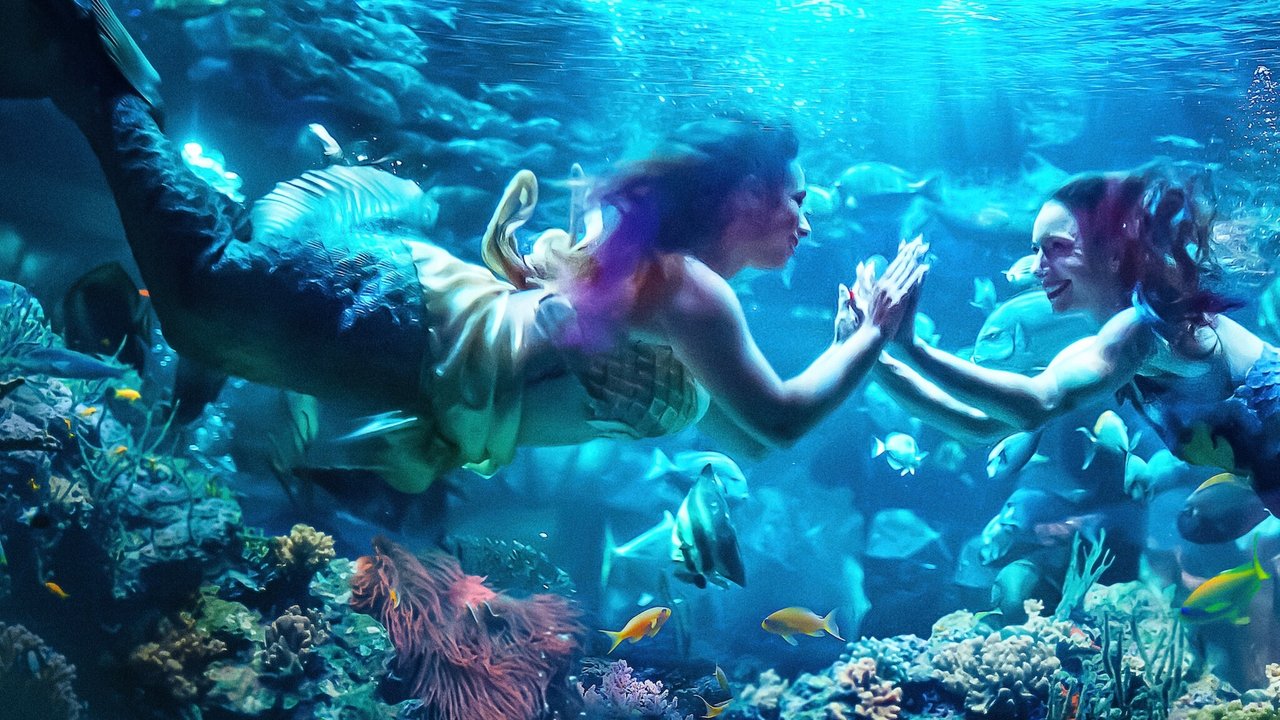 夢幻鰭想:職業人魚的美麗與哀愁劇照
