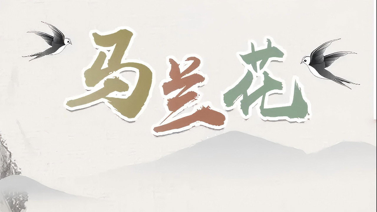 馬蘭花劇照