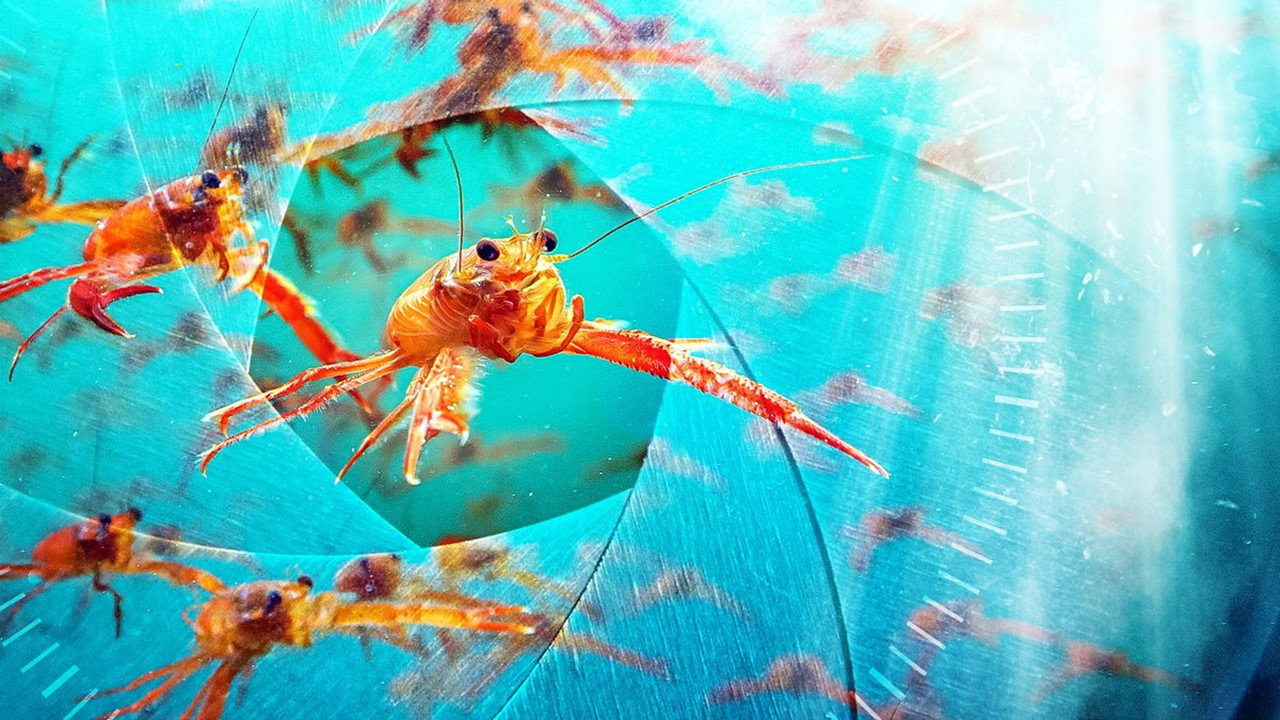深海間諜劇照