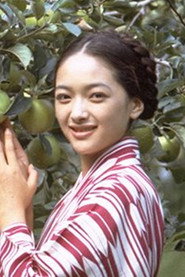 東鄉晴子