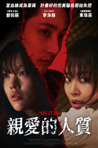 親愛的人質海報