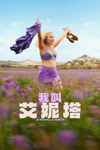我叫艾妮塔海報
