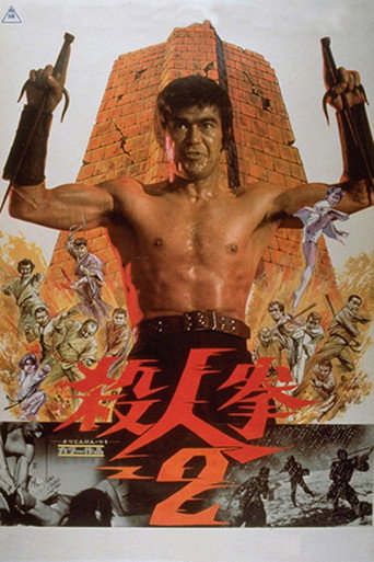 殺人拳2海報