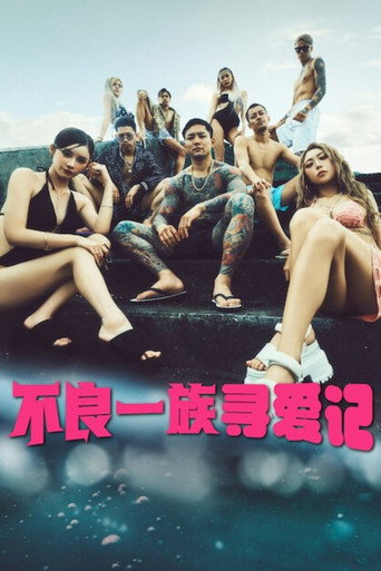 不良一族尋愛記海報