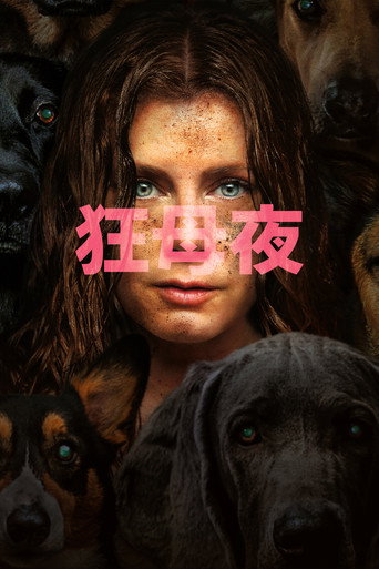 狂母夜海報
