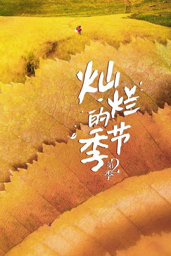 燦爛的季節 第 2 季海報