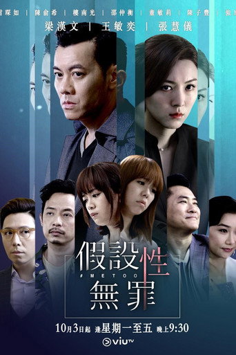 假設性無罪海報